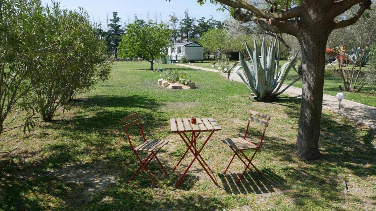 Apartmán Mas Maurane - Les Lavandes Aux Portes D'Arles Tarascon Exteriér fotografie