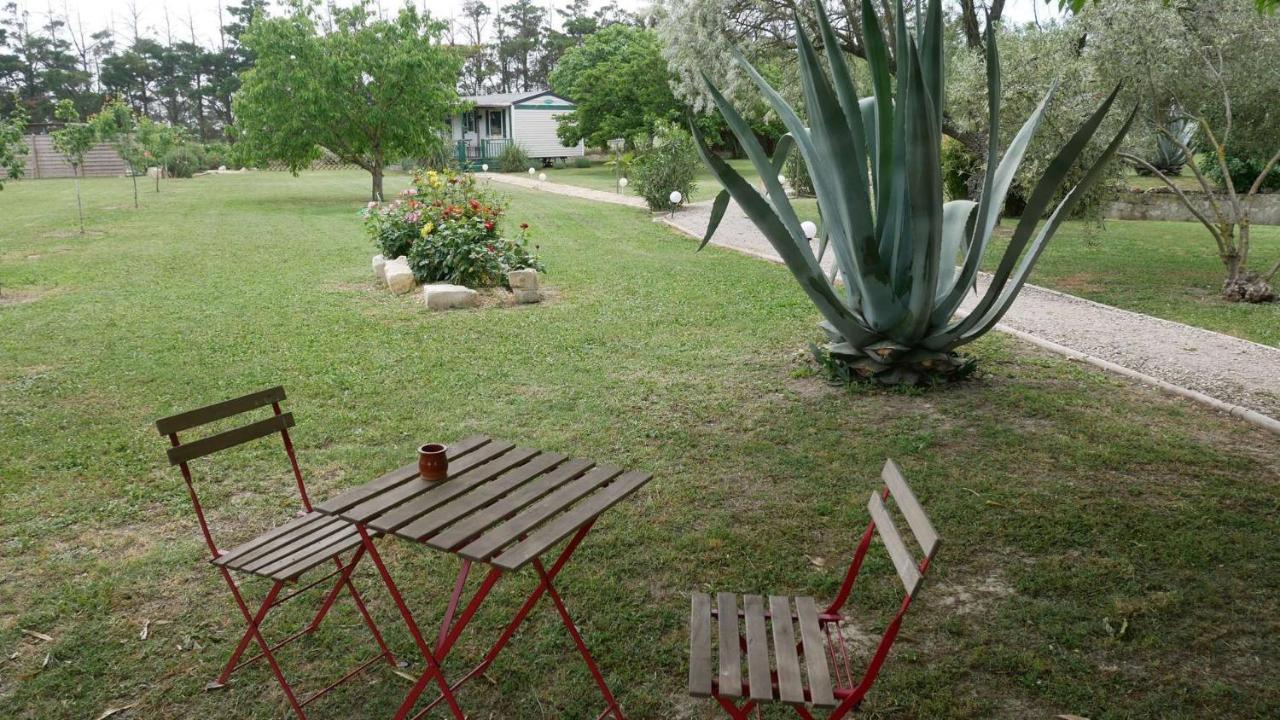Apartmán Mas Maurane - Les Lavandes Aux Portes D'Arles Tarascon Exteriér fotografie