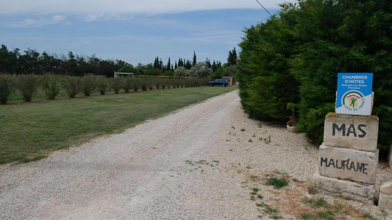 Apartmán Mas Maurane - Les Lavandes Aux Portes D'Arles Tarascon Exteriér fotografie